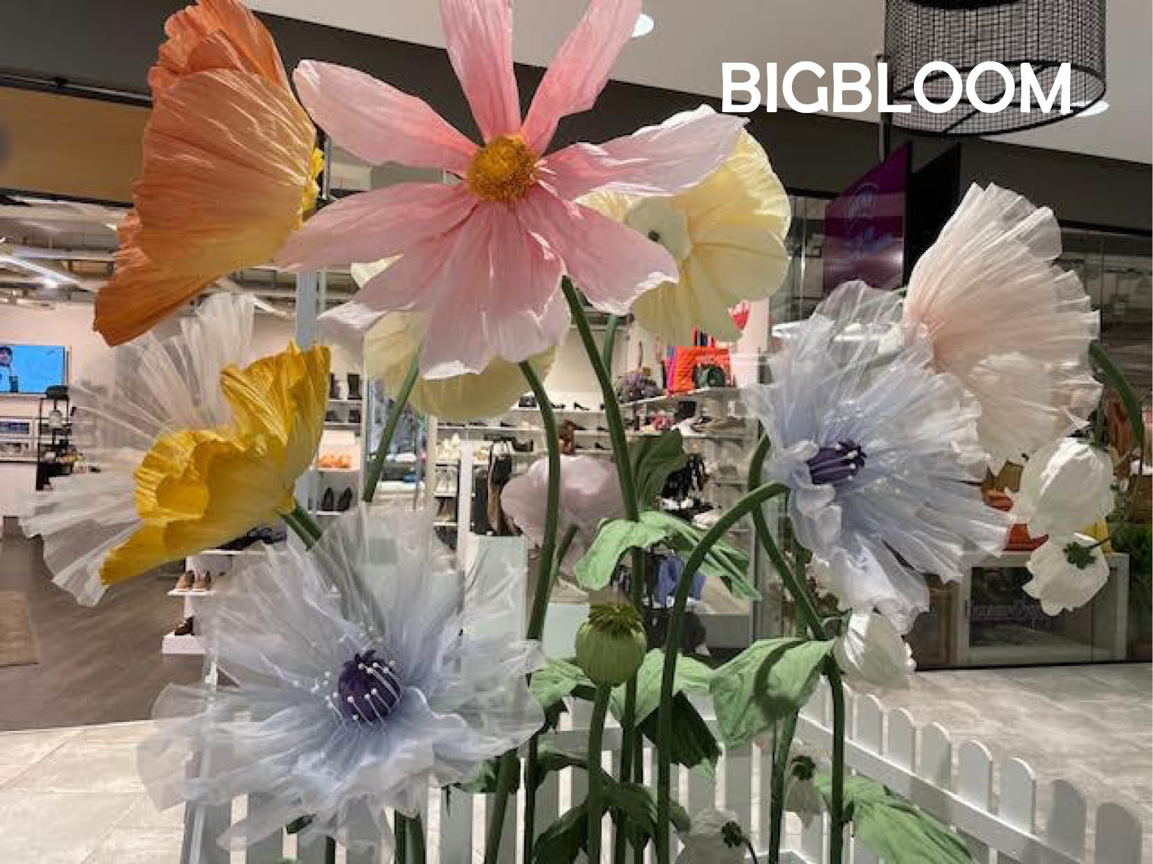 BIGBLOOM